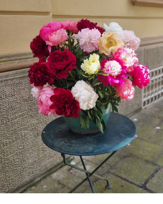 Bouquet peonie nostrane a partire da €35.00